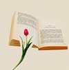 20060330090452-p-primavera-poesia.jpg